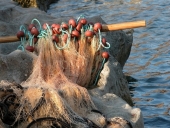 Фатени четири рибокрадци во Охридское езеро